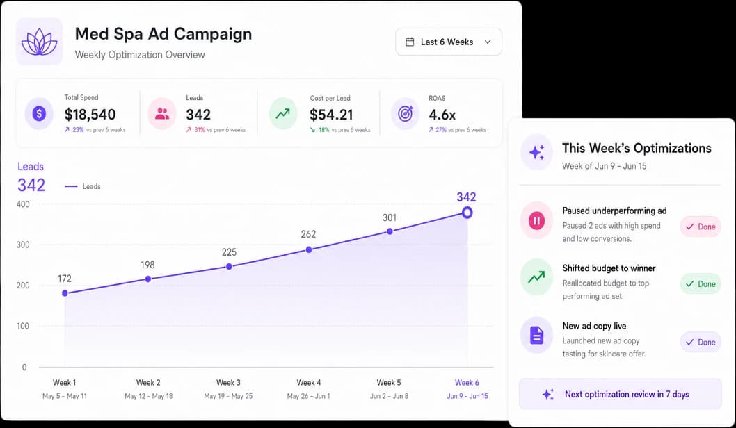 Weekly ad campaign optimization dashboard with performance trend